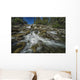 Otter Falls Wall Decal