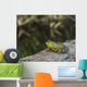 Frog Resting Log Wall Decal