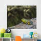 Frog Resting Log Wall Decal