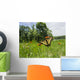 Eastern Tiger Swallowtail Butterfly Wall Decal Design 1