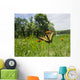 Eastern Tiger Swallowtail Butterfly Wall Decal Design 1