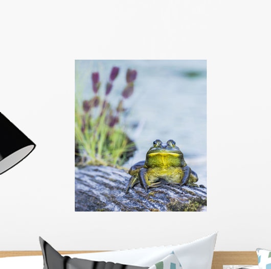 Bull Frog Resting Log Wall Decal