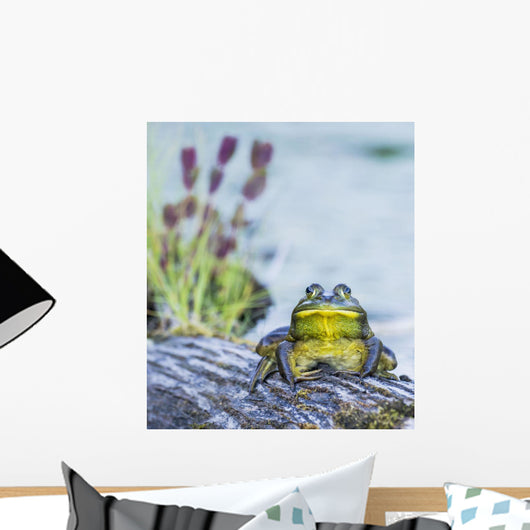 Bull Frog Resting Log Wall Decal