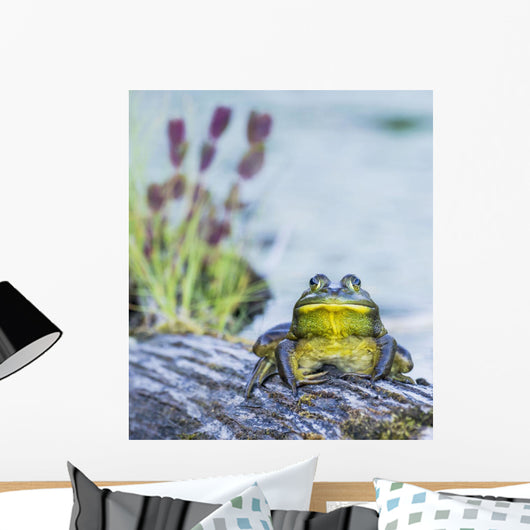 Bull Frog Resting Log Wall Decal