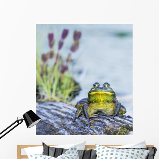 Bull Frog Resting Log Wall Decal
