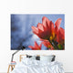 Up Red Tulips against Wall Decal