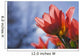 Up Red Tulips against Wall Decal