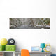 Water Flowing River with Wall Decal Design 2