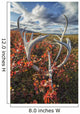 Caribou Antlers Wall Decal