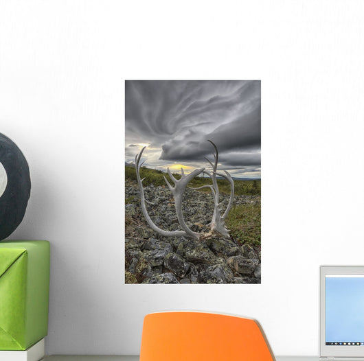 Lenticular clouds, Crow Mountain, caribou antlers Wall Mural