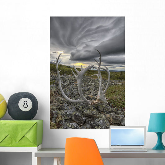 Lenticular clouds, Crow Mountain, caribou antlers Wall Mural