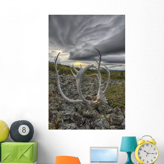 Lenticular clouds, Crow Mountain, caribou antlers Wall Mural