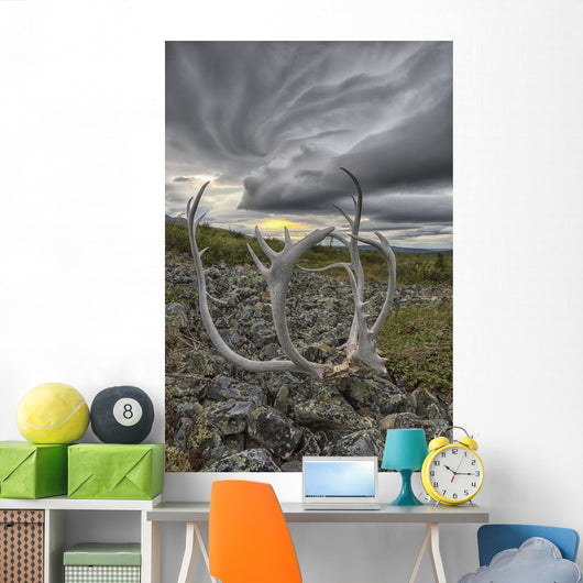 Lenticular clouds, Crow Mountain, caribou antlers Wall Mural