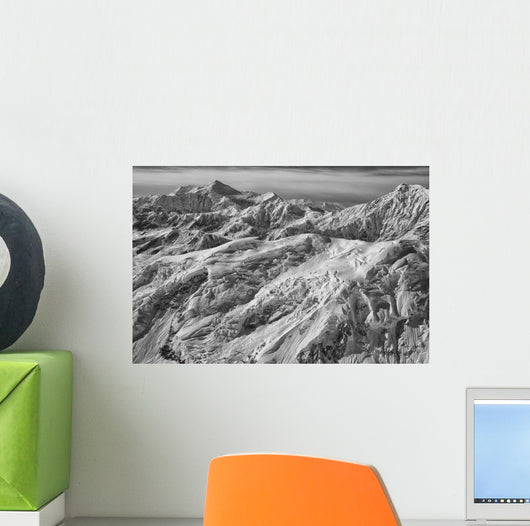 Black and White Aerial Wall Decal
