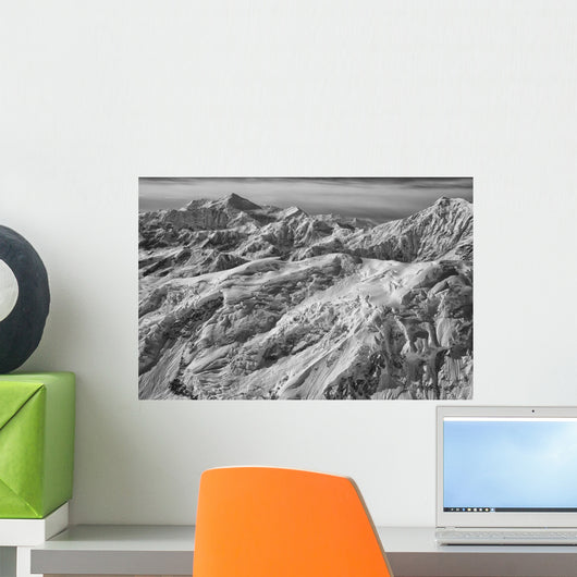 Black and White Aerial Wall Decal