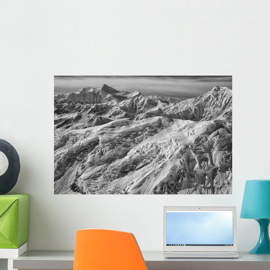 Black and White Aerial Wall Decal