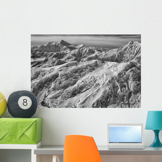 Black and White Aerial Wall Decal