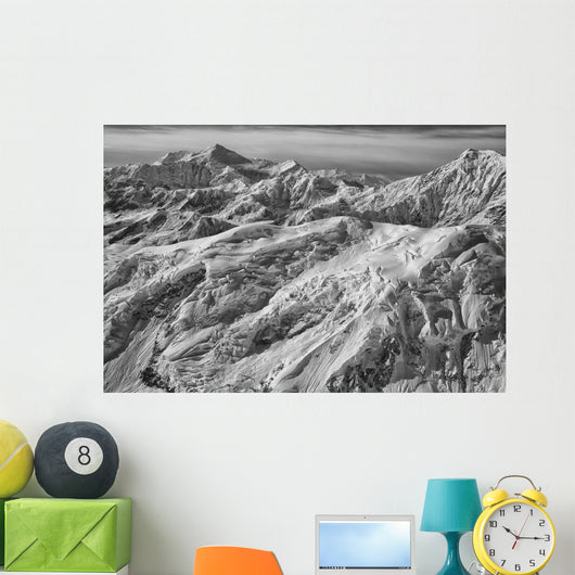 Black and White Aerial Wall Decal