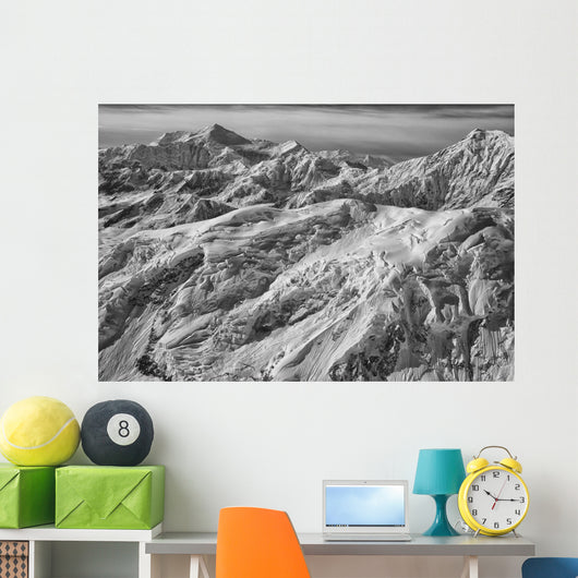 Black and White Aerial Wall Decal