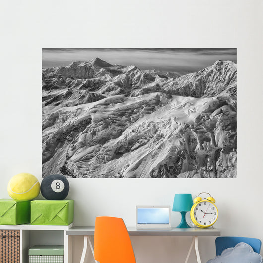 Black and White Aerial Wall Decal