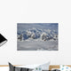 Aerial Mount Logan Kluane Wall Decal