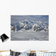 Aerial Mount Logan Kluane Wall Decal