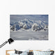 Aerial Mount Logan Kluane Wall Decal