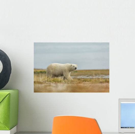 Polar Bear Walking along Wall Decal