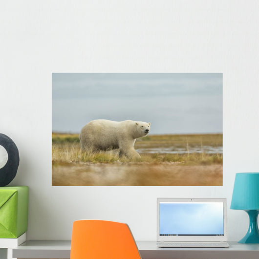 Polar Bear Walking along Wall Decal