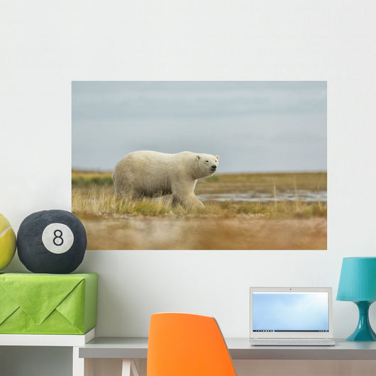 Polar Bear Walking along Wall Decal