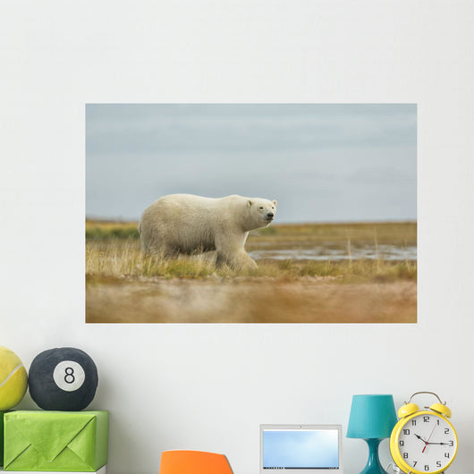 Polar Bear Walking along Wall Decal