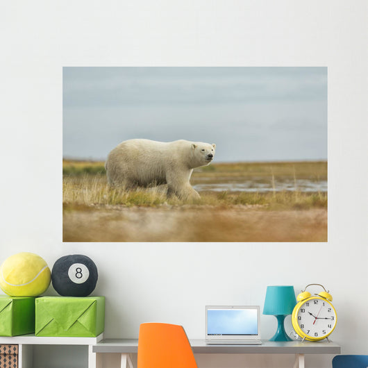 Polar Bear Walking along Wall Decal