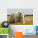 Polar Bear Walking Coast Wall Decal