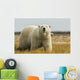 Polar Bear Walking Coast Wall Decal
