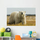 Polar Bear Walking Coast Wall Decal