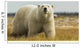Polar Bear Walking Coast Wall Decal