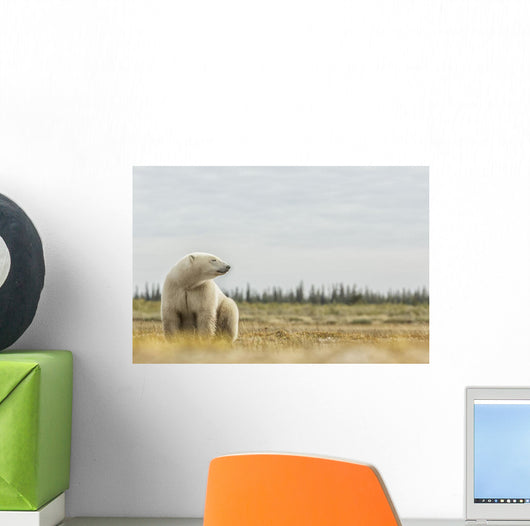 Polar Bear Sitting Coast Wall Decal