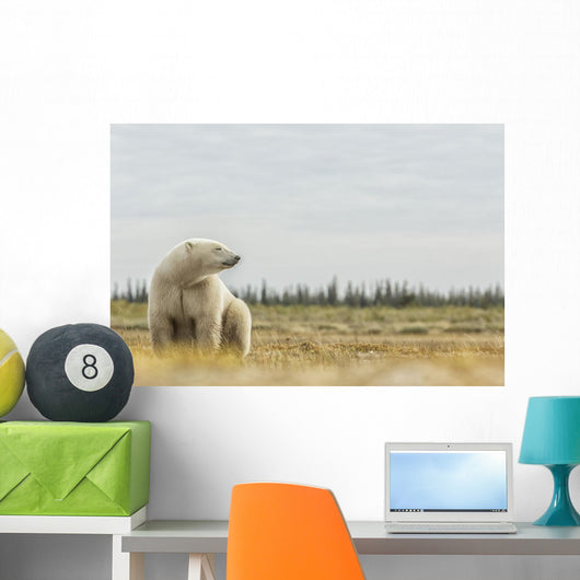 Polar Bear Sitting Coast Wall Decal