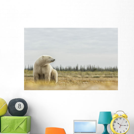 Polar Bear Sitting Coast Wall Decal