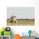 Polar Bear Sitting Coast Wall Decal