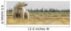 Polar Bear Sitting Coast Wall Decal