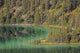 Emerald Green Waters Emerald Wall Decal