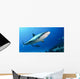 Shark Bahamas Wall Decal