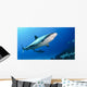 Shark Bahamas Wall Decal