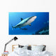 Shark Bahamas Wall Decal