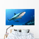 Shark Bahamas Wall Decal