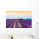 Beautiful Landscape Lavender Field Wall Decal
