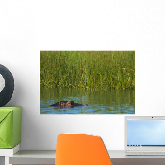 Hippo Peeking out from Wall Decal