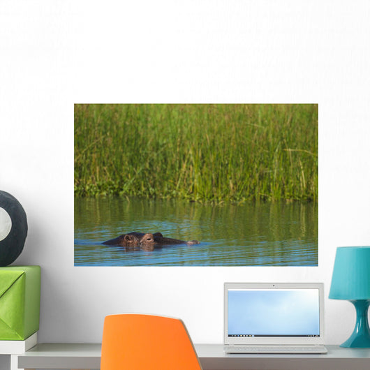 Hippo Peeking out from Wall Decal