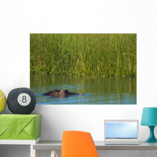 Hippo Peeking out from Wall Decal